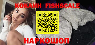 индика Гусев
