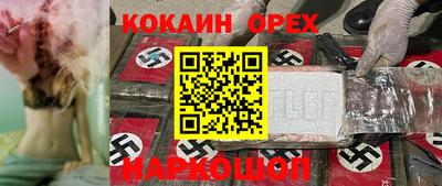 индика Гусев