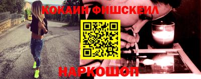 индика Гусев