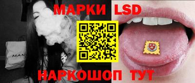 индика Гусев