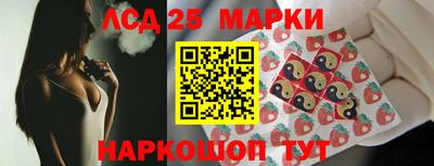 индика Гусев