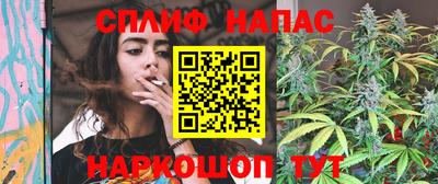 индика Гусев
