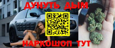 индика Гусев