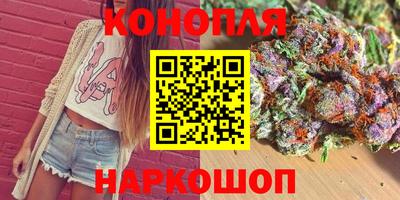 индика Гусев
