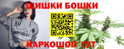 индика Гусев