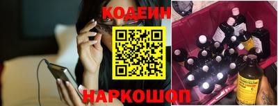 индика Гусев