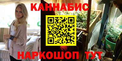 индика Гусев
